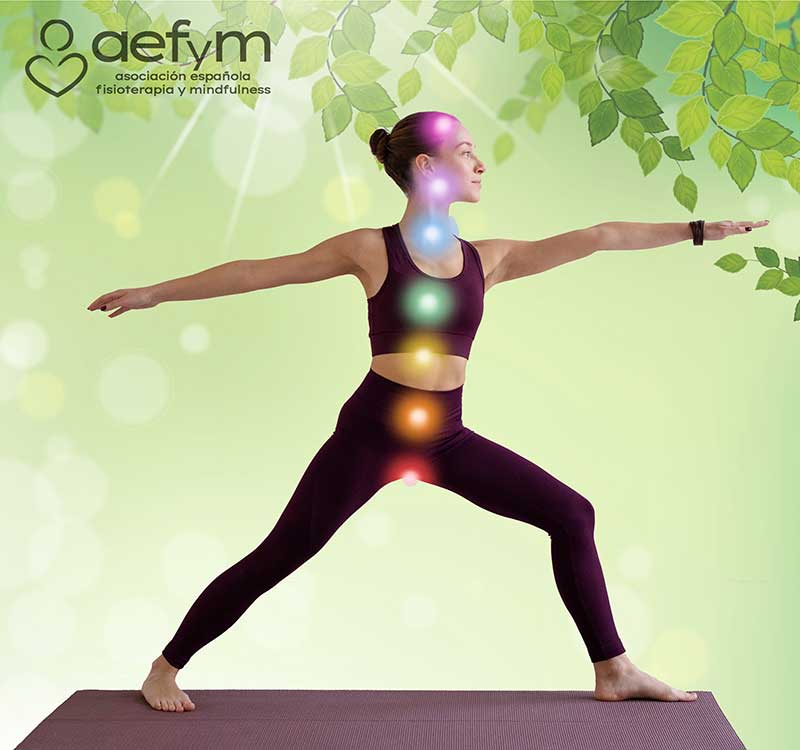 Curso Entrenamiento Consciente AEFYM